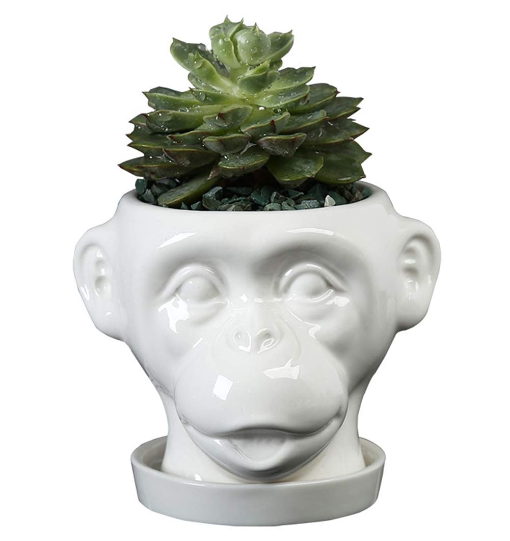 NTPHNB Cute Monkey Succulent Pots Ceramic Planter Small Cactus Flower Pot with Tray White