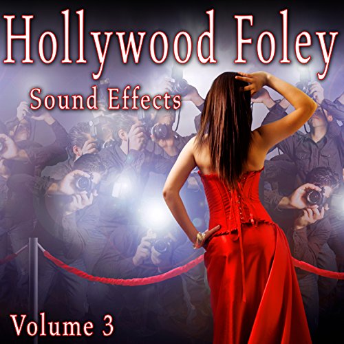Hollywood Foley Sound Effects, Vol. 3 de The Hollywood Edge Sound