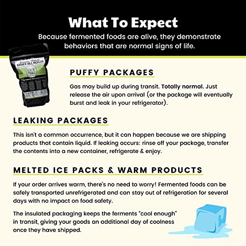 Real Fermented & Probiotic Pickle Juice For Gut Health - Livebrine Kosher Dill Pickle Juice Bundle (3 Pack) By Olive My Pickle #TOP5