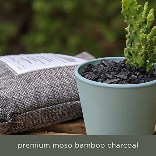 Moso Natural Air Purifying Bag 200G (3 Pack). A Scent Free Odor Eliminator For Cars, Closets, Bathrooms, Pet Areas. Premium Moso Bamboo Charcoal Odor Absorber. (Charcoal Grey) #TOP7