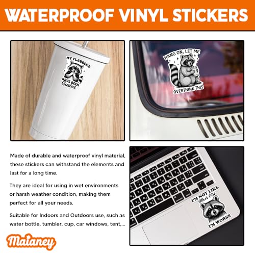 Image of MAIANEY [10Pcs, 3 inchx3 inch] Funny Raccoon Sticker, Animal Lover Raccoon Gift, Sarcastic Humor Sticker, Waterproof Vinyl Decal, Gifts Decorations for Hard Hat Laptop Water Bottle Phone Tumbler Window