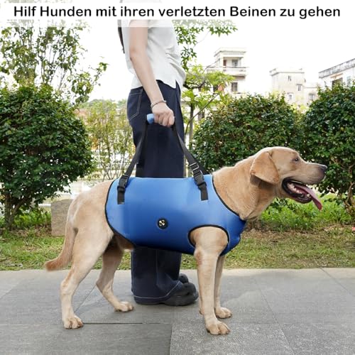 Coodeo Hundeliftgeschirr, Haustierunterstützung & Rehabilitation Sling Lift Verstellbare Gepolsterte atmungsaktive Gurte für Alt, Gelenkverletzungen, Arthritis, Stabilitätsverlust Hunde(Blau, L)