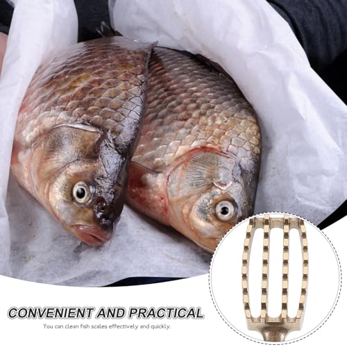 Éliminateur écailles poisson inoxydable durable haut de gamme - 6