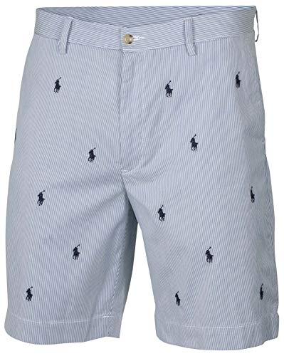 Polo Ralph Lauren Men's Classic Fit Shorts Blue Pinstripe
