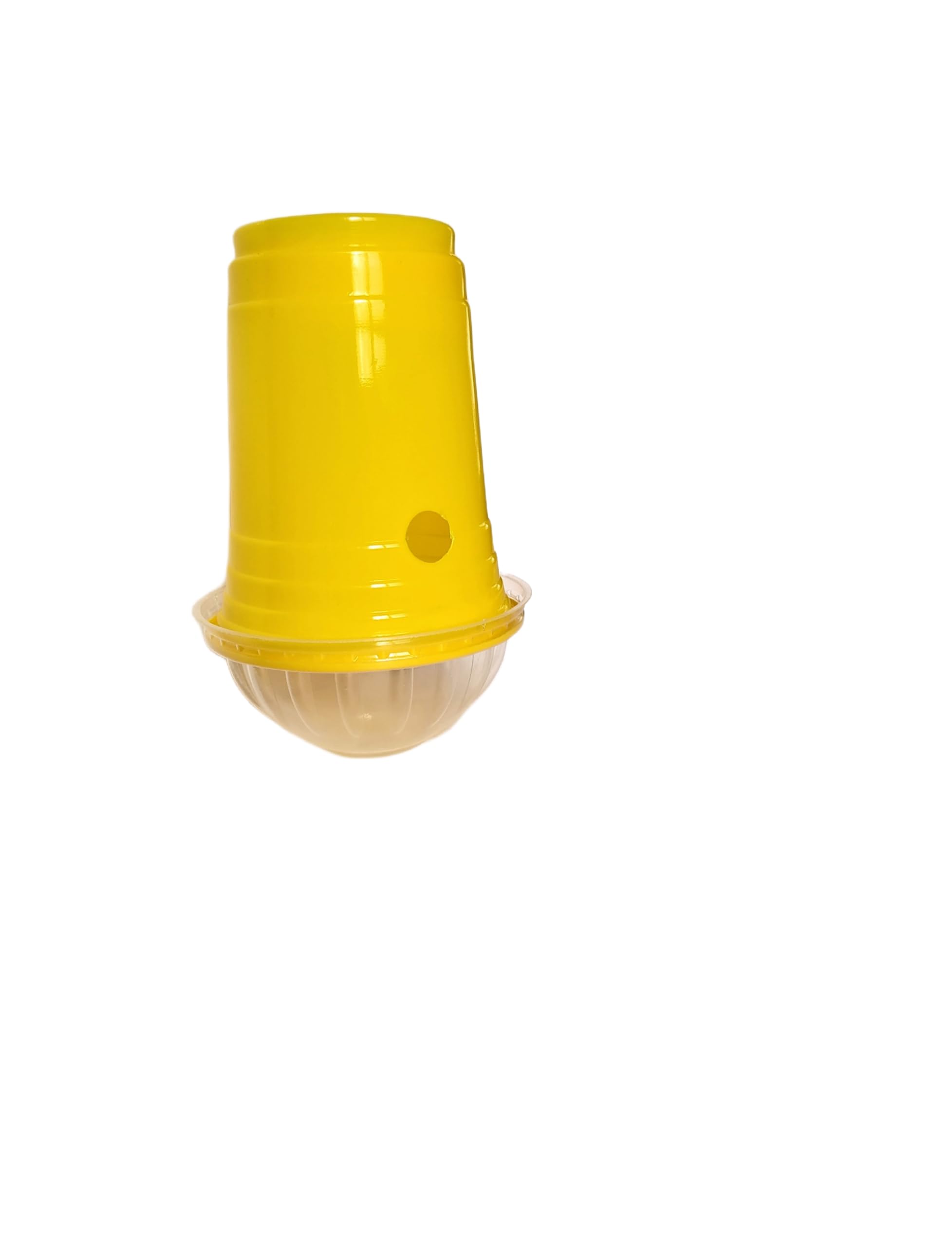 Fruit Fly Insect pheromone Trap, desposable Glass Trap, Lure is not Included, Used for Fruit Fly & Melon Fly (20) (B0BXJQZJVV) Amazon Price History, Amazon Price Tracker