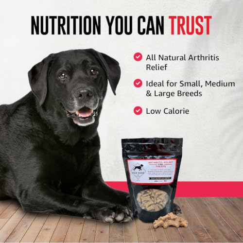 Image of Old Dog Cookie Company Hip and Joint Support Tiny Treats | All Natural Arthritis Relief, 4 Calorie | Joint Support for Every Stage of Life | Small, Medium & Large Breeds | 8 oz