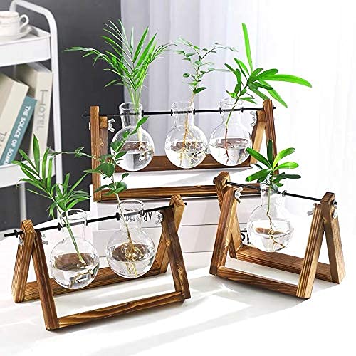 Kingbuy Desktop Glass Planter With Retro Wooden Stand Plant Terrarium For Indoor Office Decor Accessories — 2 Oblate And 3 Bulb Vases #TOP7