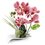 porzellan blumentopf oval ✔GRÖSSE:Gesamthöhe von ca. 31 cm, Blumentopfgröße 22 x 11 x 6 cm, die Stängel der Phalaenopsis-Blüten können auf das entsprechende Bogenmaß gebogen werden.