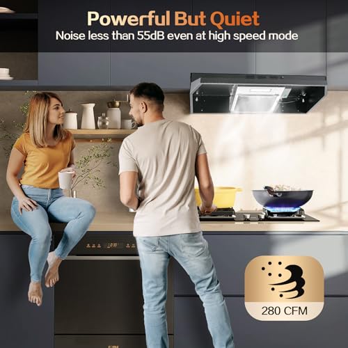 image for Zomagas 24 inch Range Hood Under Cabinet, Black Kitchen Hood 280CFM, D