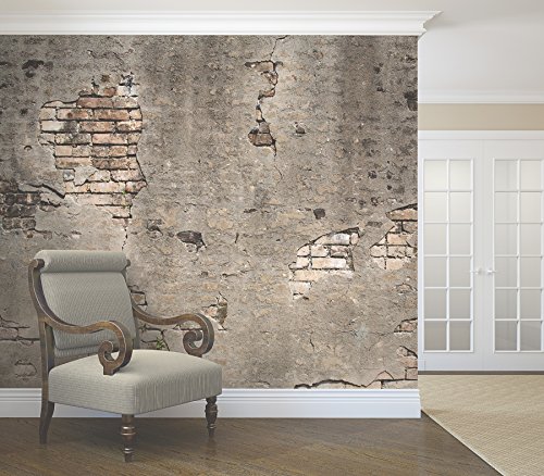 Wall Rogues WR50520 Broken Concrete Wall Mural