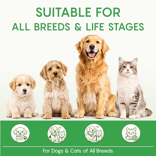 Image of Pups & Paws Dog Multivitamin Syrup for Active Puppies & Adult Dogs, Daily Energy & Immunity, 200 ml