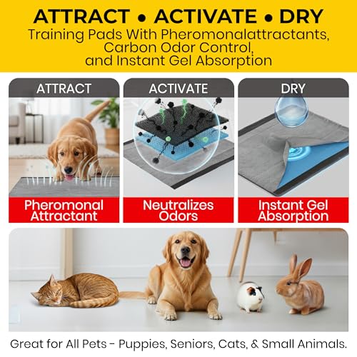 Image of Glad for Pets Extra Large Charcoal Training Pads for Dogs and Puppies, Activated Carbon Odor Control, 6-Layer Absorbent Leak-Proof Pee Pads with Pheromone Attractant, 28 x 30 in, 30 Count - 6 Pack