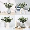 Erlandens 10pcs Faux Olive Leaves Stems 10” Tall Artificial Plants Olive Tree Branches for Small Vase Tabletop Greenery Decor for Home Office Wedding Party (Vase Not Included) #5