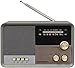 Crosley CR3036D-CL Tribute Vintage AM/FM Bluetooth Radio, Charcoal