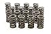 Isky Racing Cams 235-D Valve Spring
