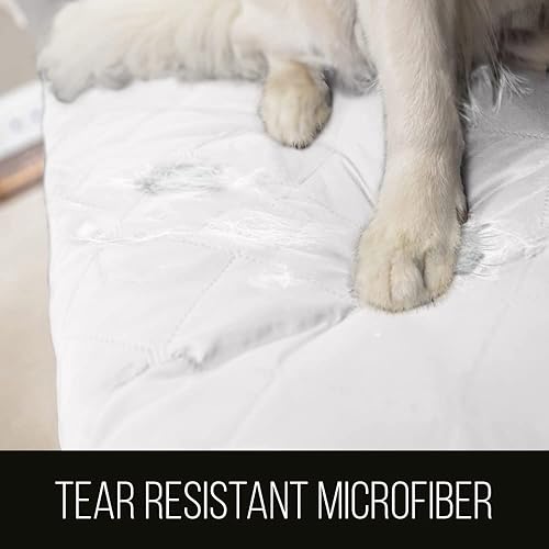 Miniatura 3 de Sofa Shield - Funda para sofá con correa patentada, protector de cojín, funda reversible diseñada en EE. UU. resistente a manchas y desgarros de