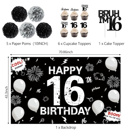 Image of Holkcog Black 16th Birthday Party Decorations for Boys, Cheers To 16 Years