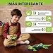 HYES Wall Crawler Gecko Imagen de HYES Wall Crawler Gecko