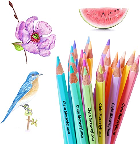 Marco 24 Count Colored Pencils Art Pencils Drawing Pencils Professional Arts and Crafts Set Vivid Colors Pastel Pencils Markers for Shading Sketching Coloring Projects Artists Beginners Adult Kids