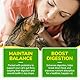 Verstopfung Reltf Für Katzen, Natürliches Sanfte Abführmittel - Förderung regelmäßiger Darmtätigkeit & Darmgesundheit,Antibiotika Katze Blasenentzündung,6 probiotika Katze für gesunde Verdauung 60ml