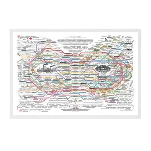 Póster de red curativa, póster de mapa de salud holístico de red, póster web curativo como se muestra en la imagen, tabla de golosinas naturales, impresión horizontal, póster de salud mental, gráfico