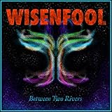 Wisenfool