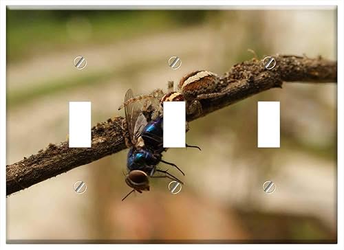 Switch Plate Triple Toggle - Nature Insects Spider Fly The Virginia Quindio 1