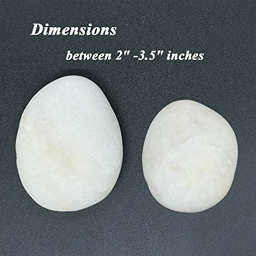 Bulk White River Rocks for Painting – 40 Big Rocks, 2” - 3.5” Inch Flat Smooth Stones, about 12 LB. of Craft Rocks for Rock Painting, Kindness Stones, Painting Rocks Supplies for Adults and Kids