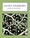 Plant Anatomy