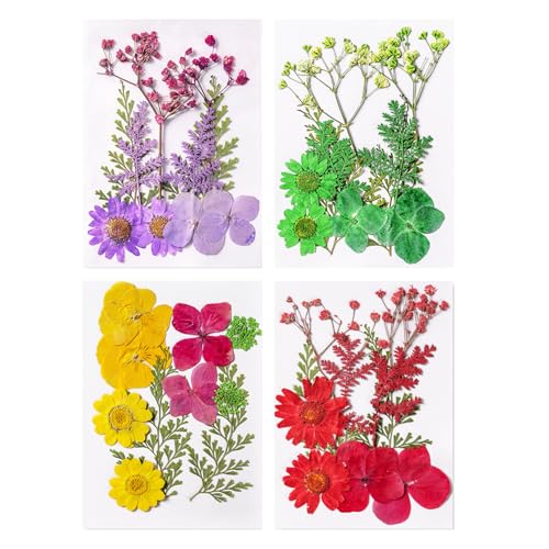 40 flores secas prensadas para resina y manualidades miniatura 1