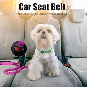 Bumbin 6ft Dog Leash Large Dogs Bungee Dog Leash with 2 Handles Heavy Duty Dog Leashes for Medium Small Dogs No Pull Shock Absorbing Dog Leash with Car Seat Belt for Training Pink  Cucciolini Doodles Bumbin 6ft dog leash large dogs bungee dog leash with 2 handles heavy duty dog leashes for medium small dogs no pull shock absorbing dog leash with car seat belt for training pink   cucciolini doodles