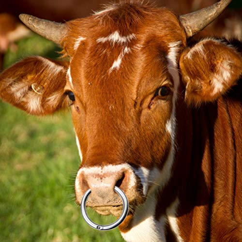 VILLCASE Touro Vaca Gado Anel de Nariz de Aço Inoxidável Ferramenta Veterinária Animal de Fazenda pa