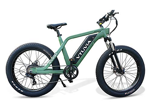 Fat Tire Electric Bike for Men 48V 750W Power 26Inch 4.0 Electric City Road Bicycle 7 Speed (Green)