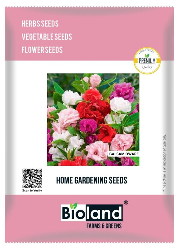 BIOLAND Balsam Dwarf Flower Seeds For Home Garden | Easy to Grow Flower Seeds For Sowing (B0CVDVT46S) Amazon Price History, Amazon Price Tracker