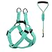 Pawaboo Dog Leash Harness Set, Durable Adjustable Heavy Duty No Pulling Dog Harness + Leash for Pet Dog Training Walking Running, Small Size, Lake Blue