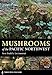Mushrooms of the Pacific Northwest (A Timber Press Field Guide)