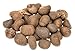 Produktbild NaDeco Tagua Nüsse Natur unpoliert, verpackt im Beutel mit 1kg | Phytelephas macrocarpa | Steinnuss | Elfenbein Nuss | Pflanzliches Elfenbein | Tagua Nuss | Chaapi | Mococha | Yarina, Cade