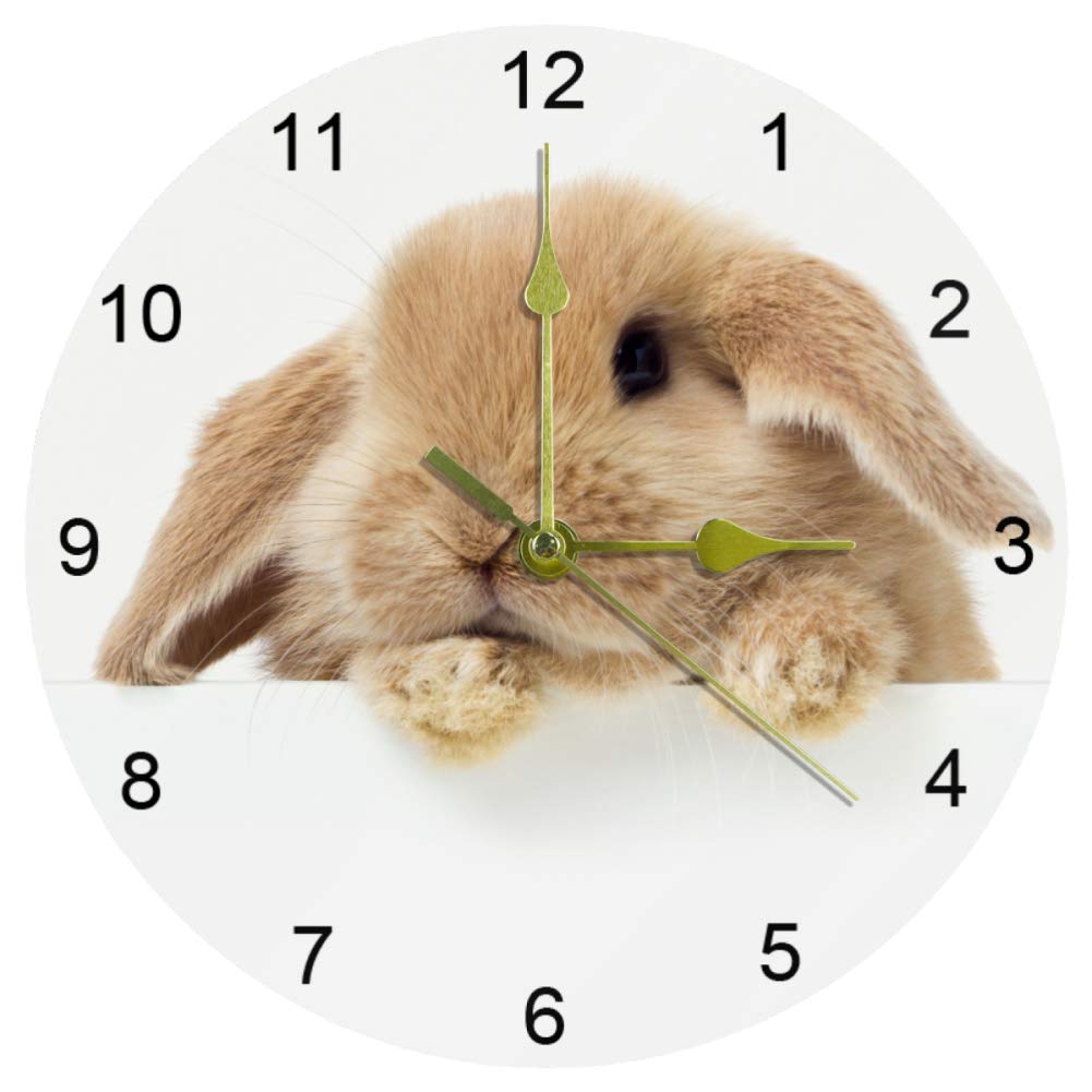 Horloge murale lapin jaune 10 pouces idéale pour décorer une école ou un bureau