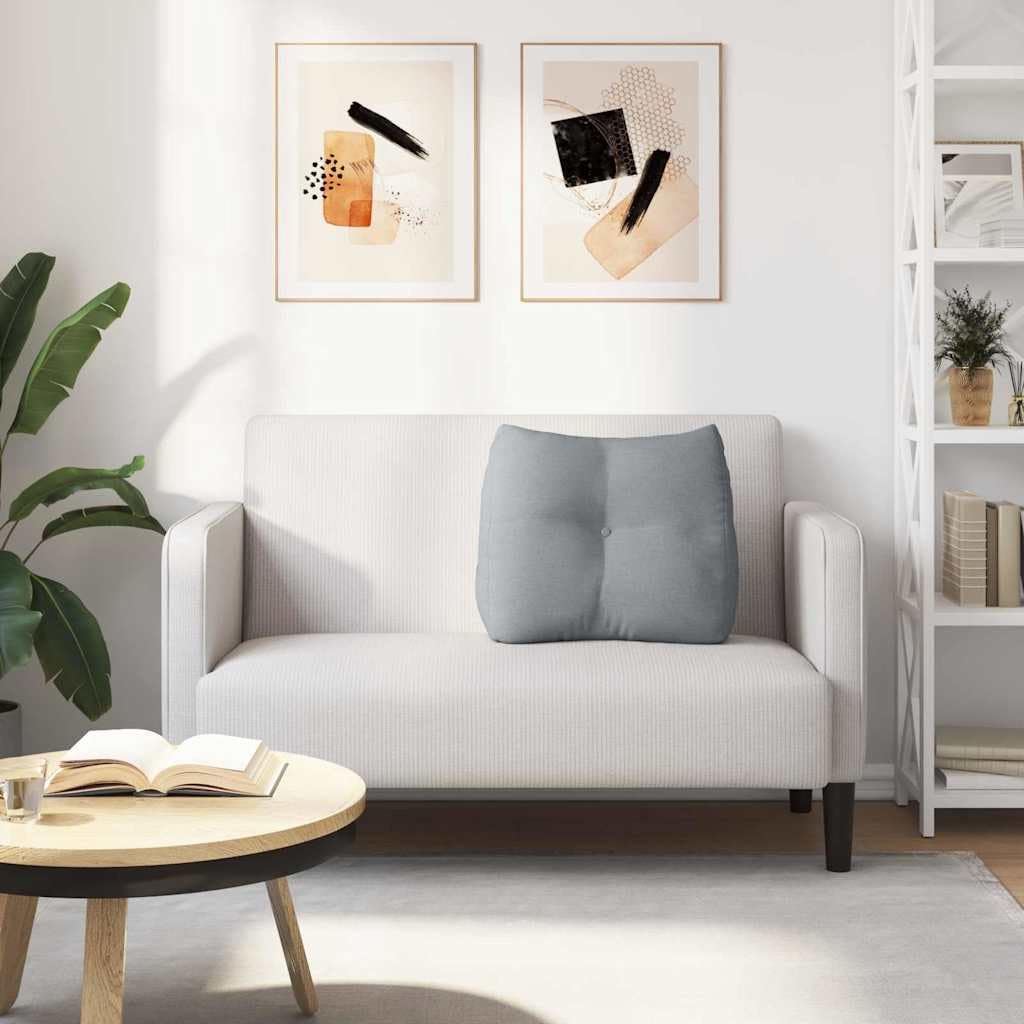 Cojín de respaldo gris claro, 60 x 24 x 50 cm, funda de terciopelo, ergonómico, con cierre de botón y cremallera, para salón, dormitorio, oficina