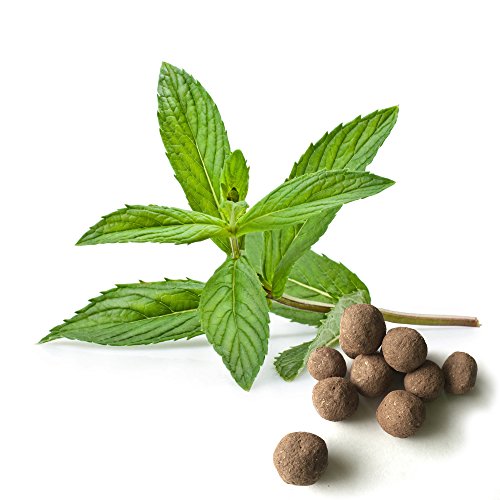 Peppermint Herb Seed Balls (Mentha Piperita, Pack Of 20) - Seed Bombs Make Gardening Fun And Easy! #TOP21