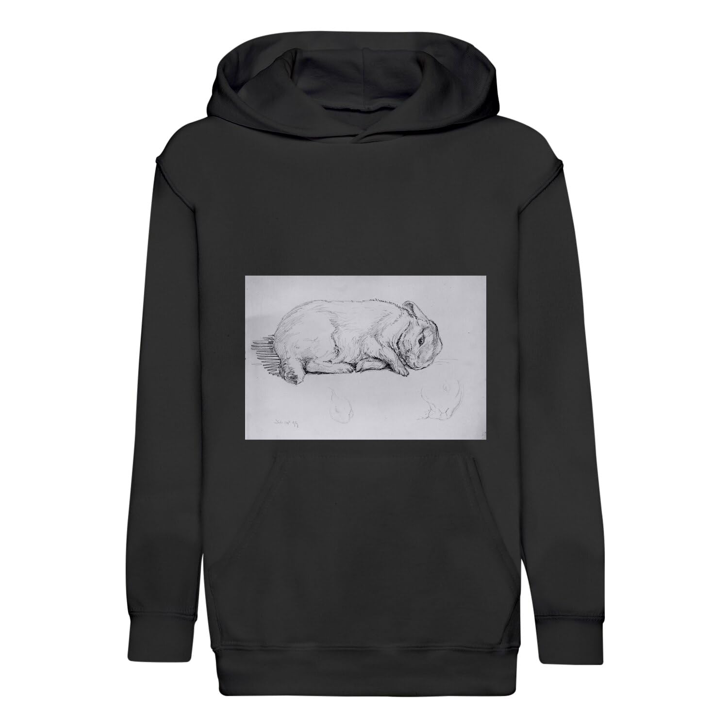 Sweat à capuche enfant Beatrix Potter illustration premium douce - 4