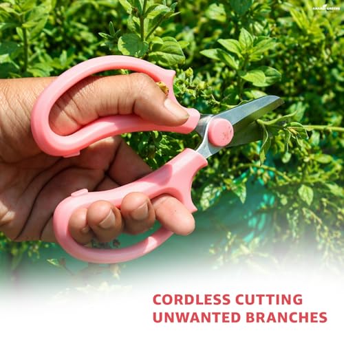 Image of Anandi Green's 5 Stainless Steel Scissors Pointed Tip with Shock Proof Body Ergonomic & Soft Handles for Easy Handling Red Scissor with Cap