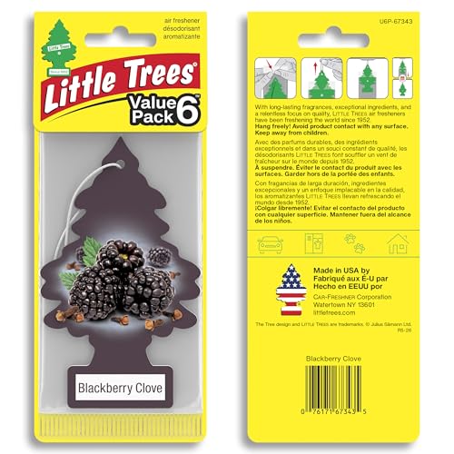 Image of LITTLE TREES Car Air Freshener | Hanging Tree Provides Long Lasting Scent for Auto and Home | 24 Air Fresheners |Blackberry Clove