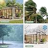 6x10 FT Greenhouse for Outdoors, Polycarbonate Greenhouse with Roof Vent, Ground Nails, Lockable Push Door, Aluminum Large Walk-in Green House for Outside Garden Backyard, Patio, Lawn, Black #5