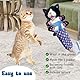 Wrestling Cat Toy Puppet,Cat Puppet Wrestler,Plüschkatze Wrestle Toy,Lustige Katzen Puppe Wrestling Spielzeug,für Hauskatzen & Katzenliebhaber