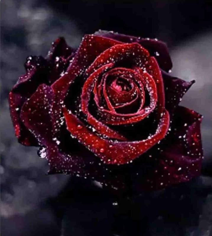 Rote Rose-Puzzle Spielzeug Erwachsene 5000 Stück Holz Lernspielzeug Kreative Dekoration