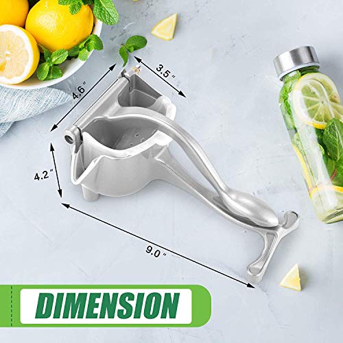 8 Best A Juicer For Carrots And Fruit What Is The Best A Juicer For Carrots And Fruit Juicer Machine List