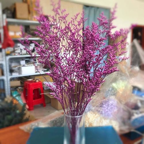 Ramo de flores secas naturales para decoración del hogar miniatura 6