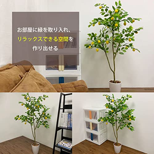 RAKU フェイクグリーン レモン 観覧植物 大型 人工観葉樹 観葉植物 フェイク 造花 150cm シンプル オフィス 室内 インテリア 鉢 おしゃれ 人工 お祝い 父の日 南国 [5]