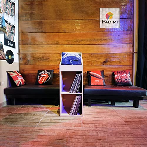 Estante Para Discos de vinil